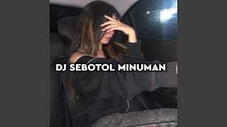 DJ Gara Gara Sebotol Minuman Mendisco [upl. by Wager21]