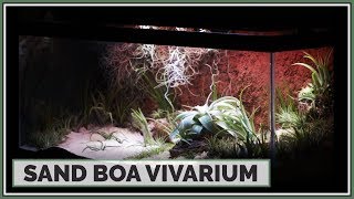 Building a Kenyan Sand Boa Vivarium [upl. by Aymer]