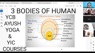 5 BODIES OF HUMAN  STULA  SUKSHMA  CAUSAL BODIES  YCB AYUSH YOGA  SWAMI VIVEKANANDA YOGA [upl. by Ahsyekat]