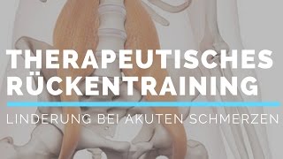 Professionelles Rückentraining gegen akute Schmerzen [upl. by Verne]