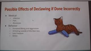 Declawing in Cats ProsCons [upl. by Arlin636]