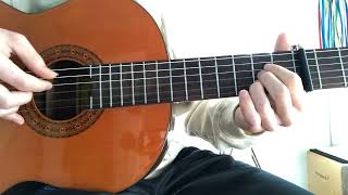 Paky  Blauer  Guitar CoverTutorial [upl. by Beaudoin]