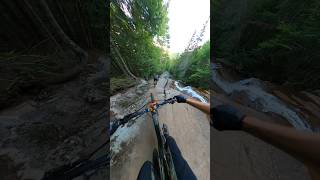 Biking down a River mountainbiking mtb [upl. by Arivle950]