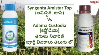 Comparison Syngenta Amistar Top అమిస్టార్ టాప్ Adama Custodia కస్టోడియా fungicides in Telugu [upl. by Maletta]