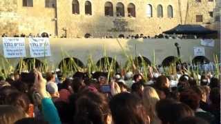 Hoshana Rabbah 5773  2012 at the Kotel [upl. by Selrhc]