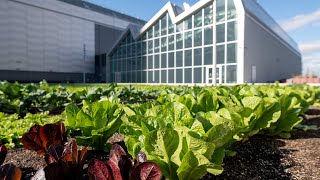 Javits Center Expansion Rooftop amp Farm  Featured Project [upl. by Nojel]