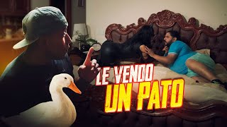 Le vendo un pato  Agapito Díaz [upl. by Mischa]