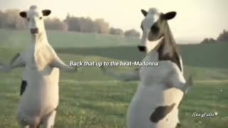 FUNNY COW DANCE 4 │ Cow Song amp Cow Videos 2024 New Version Crazy Official Music Video [upl. by Namilus]