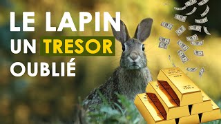 Le lapin un trésor oublié  BiVital Shine Africa [upl. by Metts]