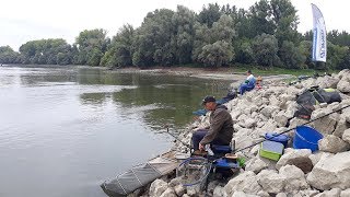 UŽIVO SA VODE  feeder pecanje krupne deverike na Dunavu kod Bezdana [upl. by Eilyab468]