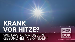 70000 TODESFÄLLE DURCH HITZE  Der Klimawandel kostet uns unsere Gesundheit  MDR DOK [upl. by Odetta]