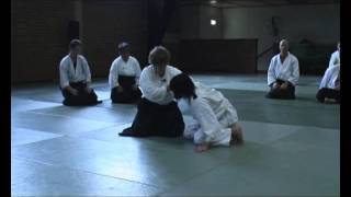 Felicia Birman Sensei  Sugano Shihan Memorial Summer School 2011 [upl. by Adranoel878]