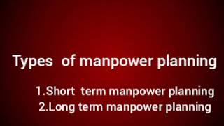 Types of manpower planning [upl. by Armilda308]