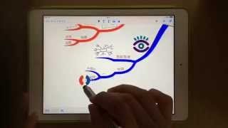 iMindMap HD for iPad でマインドマッピング♪ [upl. by Urbanus942]