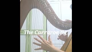 Harp  The Carraroe Jig [upl. by Leumek]