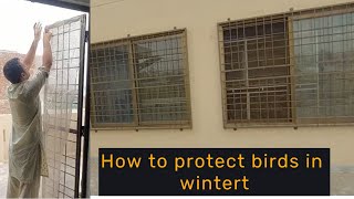 How to protect birds in winter  HWI Aviary [upl. by Burbank]