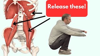 Releasing the Psoas and QL quadratus lumborum With One Exercise [upl. by Tigram]