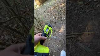 Ryobi cordless pruner test drive [upl. by Anderer993]