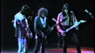 Boston  Live at Hamilton Ontario 1988 [upl. by Stoughton160]