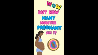 How many months pregnant am I [upl. by Thompson302]