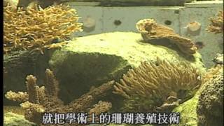 我們的島 第103集 海底祕密花園 20010416 [upl. by Francie967]