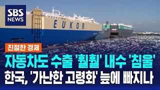 자동차도 수출 훨훨 내수 침울…한국 가난한 고령화 늪에 빠지나  SBS  친절한경제 [upl. by Ahcsatan]