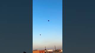 Big kite catching🪁Cutting kite caught on roof Kite looting from rooftop  Flying big kite shorts [upl. by Garaway476]