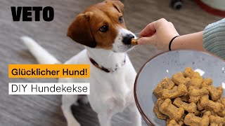 Dein Hund wird es lieben – Hundekekse selber machen [upl. by Auqined]