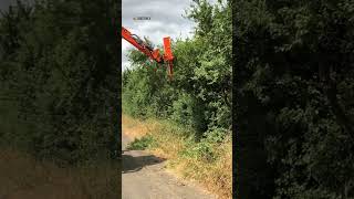 Cutting brush without breaking a sweat brushcutter excavator tractor boommower [upl. by Lisabeth658]