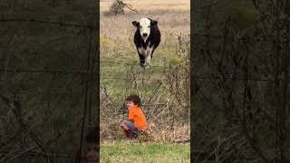 Sweet Moment Turns Hilarious My Sons Unexpected Words About a Calf [upl. by Nala352]