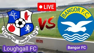 Loughgall FC VS Bangor FC Today Football Live Match [upl. by Torre]