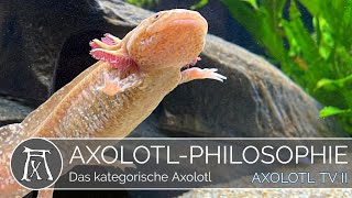 Das kategorische Axolotl [upl. by Yednarb878]