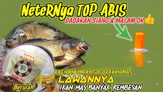 UMPAN IKAN MAS PALING GACOR LAWANNYA IKAN MAS Banyak Rembesan Susah Makan [upl. by Grindle]