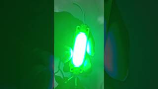 12V Multi Colors LED Lights  DClight multicolor shorts diy led [upl. by Yarehs]