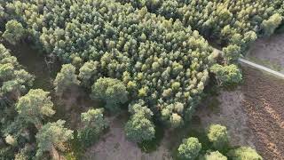 Drone shots natuur gebied Schaapskooi epe [upl. by Etnuahc]