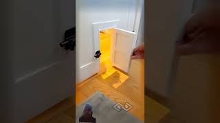 cat doggyantics dog pupplaygear diy doggosdoingthings funny dogdoor satisfying [upl. by Nael]