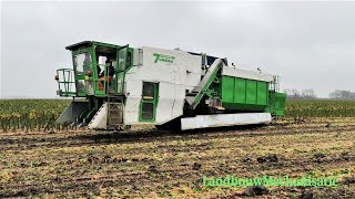 Eerste automatische spruitenplukker van Tumoba [upl. by Avra]