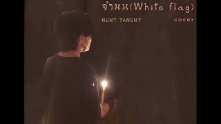 จำนน White Flag  NONT TANONT 【Cover 】 puR1n [upl. by Settera]