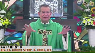 ARE YOU A CROWD PLEASER  Homily 28 July 2024 with Fr Jerry Orbos  17th Sunday Ordinary Time [upl. by Lesser]