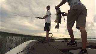 Lake Okeechobee 45 frog 71713 [upl. by Sualokcin]