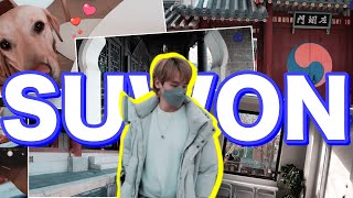 Whats in Suwon South Korea  Vlog 91 [upl. by Klaus]