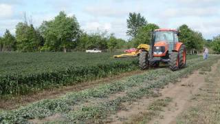 Vermeer TM1400 and Kubota M135X In Mint Field [upl. by Eninotna]