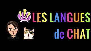 Les langues de chat [upl. by Christmann811]