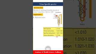 Urine Specific gravity  Clinical Pathology  by Imran Yaseen [upl. by Wileen]