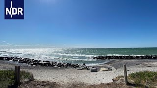 Hiddensee  Kultinsel in der Ostsee  die nordstory  NDR [upl. by Jonell368]