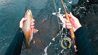 Fly Fishing For Wild Montana Rainbow Trout [upl. by Ahoufe]