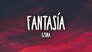 Ozuna  Fantasía LetraLyrics [upl. by Yesdnyl20]