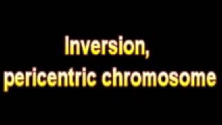 What Is The Definition Of Inversion pericentric chromosome Medical School Terminology Dictionary [upl. by Airamzul]