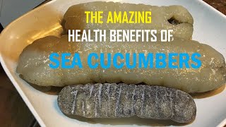 THE AMAZING HEALTH BENEFITS OF SEA CUCUMBERS [upl. by Leitao516]