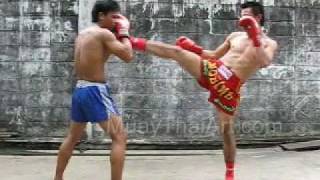 Muay Thai Learning Video The Straight Kick [upl. by Yendahc]